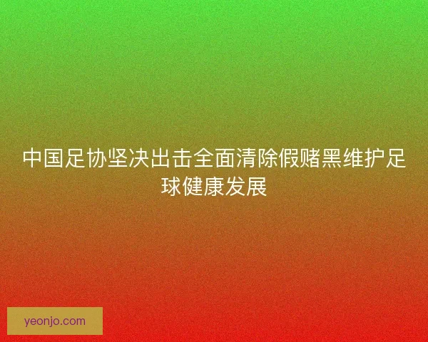 中国足协坚决出击全面清除假赌黑维护足球健康发展