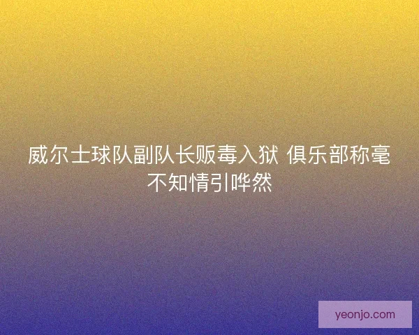威尔士球队副队长贩毒入狱 俱乐部称毫不知情引哗然